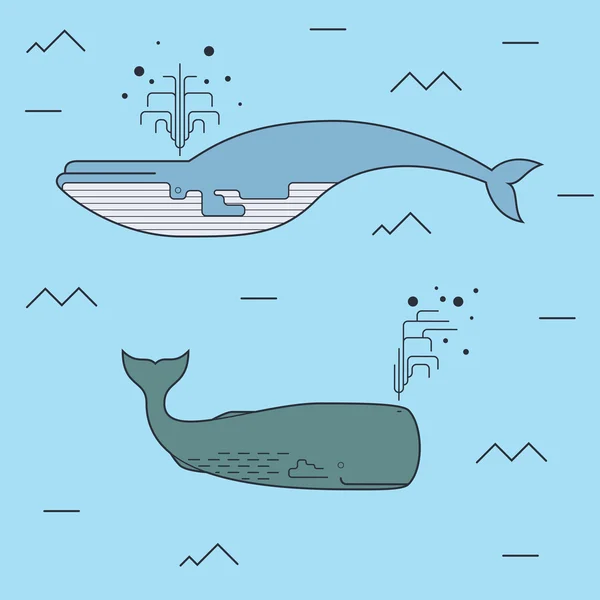 Cute Whales. Marine / Sea / Ocean Vector Print. Vector Illustration. — Stock Vector