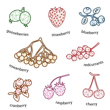 Beyaz arkaplan üzerine dizayn edilmiş çilekleri izole edilmiş basit vektör