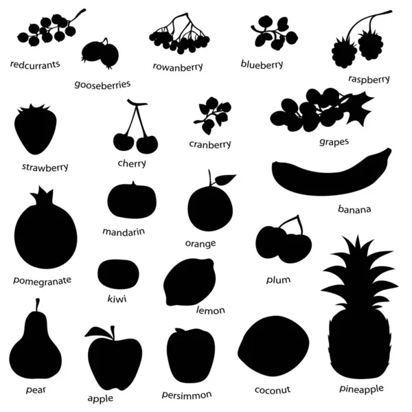 Fruit Set Isolated White Vector Eps — Stock Vector