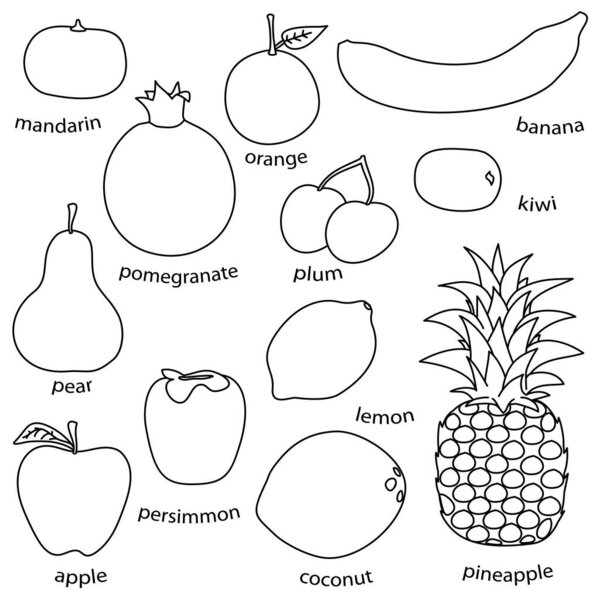 Монолиновые фрукты на белом фоне простой вектор EPS 10