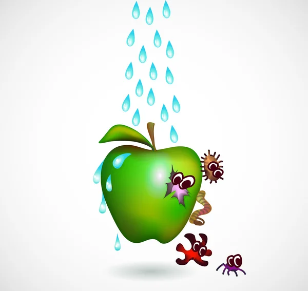 Lavando una manzana — Vector de stock