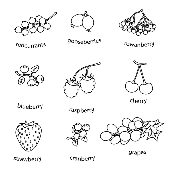 Monoline berries set on white background — Stock Vector