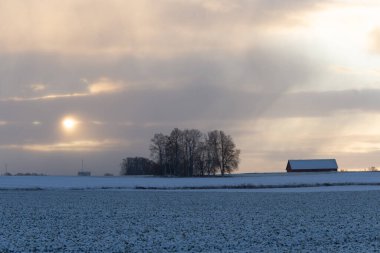 Kuzey Avrupa 'da güzel bir kış manzarası. Sabah ilk kar manzarası. Karda ağaçlar olan kırsal bir manzara..