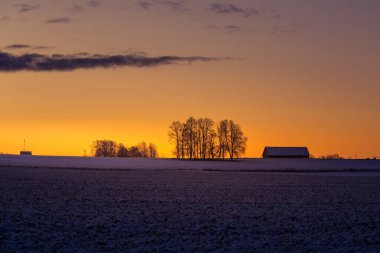 Güneşin doğuşuna karşı çıplak ağaç siluetleriyle güzel bir gündoğumu manzarası. Kuzey Avrupa 'nın erken kış manzarası. Parlak, renkli bir sahne..