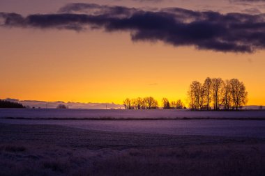Güneşin doğuşuna karşı çıplak ağaç siluetleriyle güzel bir gündoğumu manzarası. Kuzey Avrupa 'nın erken kış manzarası. Parlak, renkli bir sahne..
