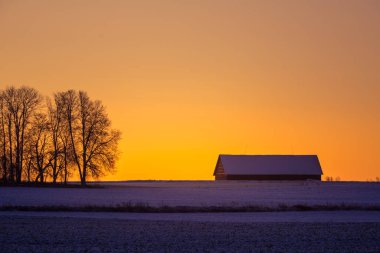 Güneşin doğuşuna karşı çıplak ağaç siluetleriyle güzel bir gündoğumu manzarası. Kuzey Avrupa 'nın erken kış manzarası. Parlak, renkli bir sahne..
