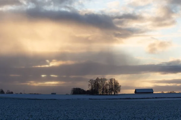 Beau Paysage Début Hiver Europe Nord Paysage Matinal Première Neige — Photo