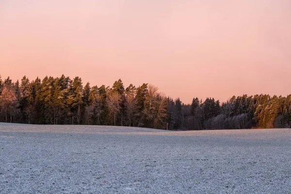 Krásná Raná Zimní Scenérie Severní Evropě Ranní Krajina Prvního Sněhu — Stock fotografie