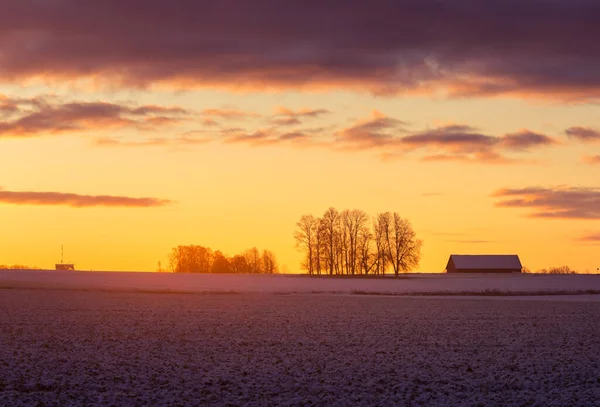 Una Hermosa Escena Del Amanecer Con Siluetas Árboles Desnudos Contra — Foto de Stock