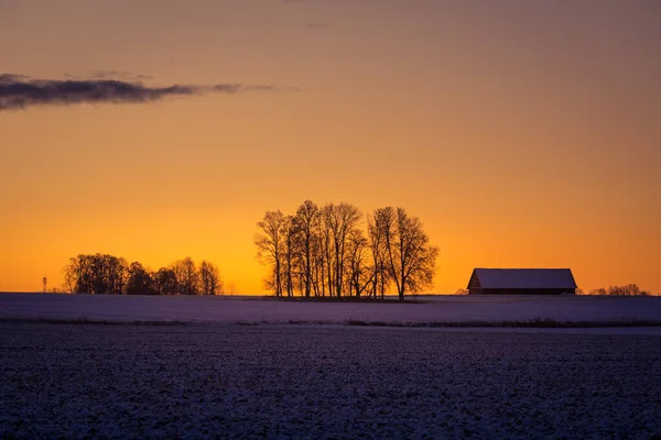 Una Hermosa Escena Del Amanecer Con Siluetas Árboles Desnudos Contra — Foto de Stock