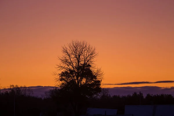 Una Hermosa Escena Del Amanecer Con Siluetas Árboles Desnudos Contra — Foto de Stock