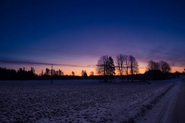 Egy Gyönyörű Napkelte Jelenet Csupasz Sziluettekkel Napfelkelte Ellen Észak Európa — Stock Fotó