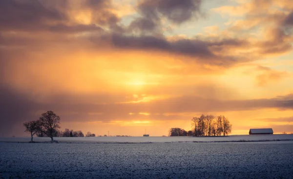 Hermoso Brillante Colorido Paisaje Amanecer Invierno Cielo Brillante Primera Nieve — Foto de Stock