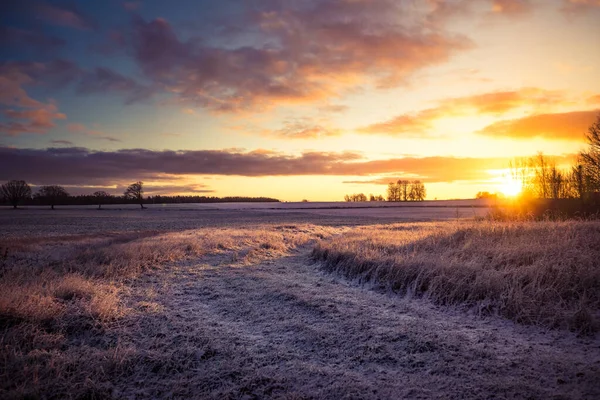 Güzel, parlak, renkli bir kış gündoğumu manzarası. Parlak gökyüzü ve ilk kar. Güneş doğarken Kuzey Avrupa 'nın kış manzarası.