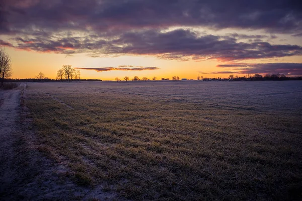 Hermoso Brillante Colorido Paisaje Amanecer Invierno Cielo Brillante Primera Nieve — Foto de Stock