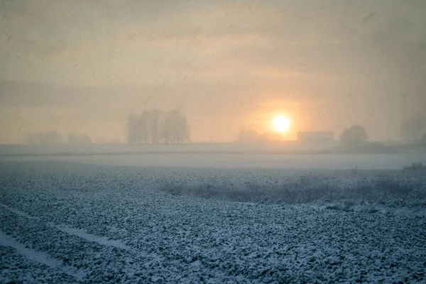 Paysage Brumeux Avec Une Chute Neige Lever Soleil Paysage Rural — Photo