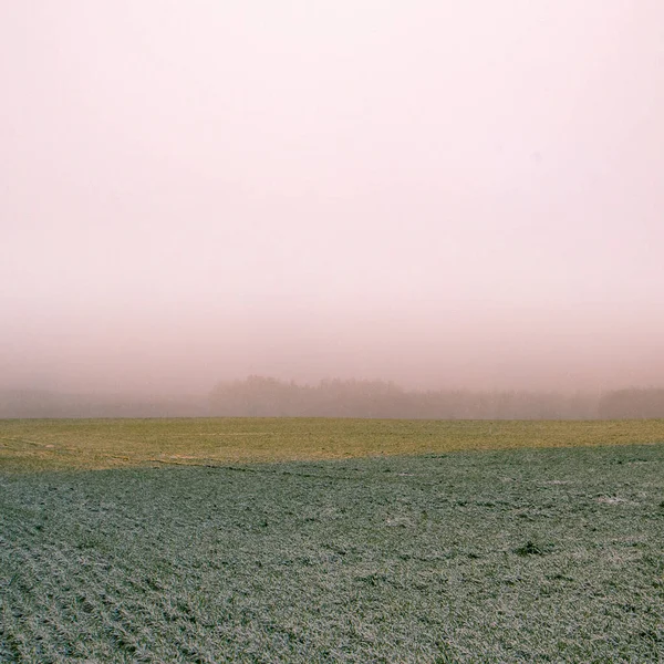 Egy Ködös Lanscape Hóeséssel Napfelkeltekor Reggel Hóvihar Lanscape Vidéke Ködös — Stock Fotó