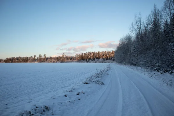 Красивый Зимний Пейзаж Дороги Рядом Лесом Заснеженные Пейзажи Северной Европы — стоковое фото