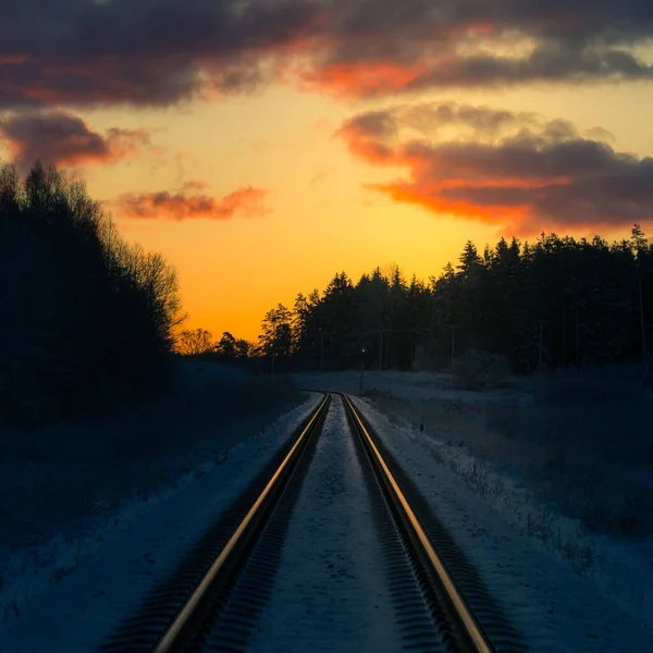 Bellissimo Paesaggio Invernale Mattutino Binari Ferroviari Nella Foresta Scenari Colorati — Foto Stock