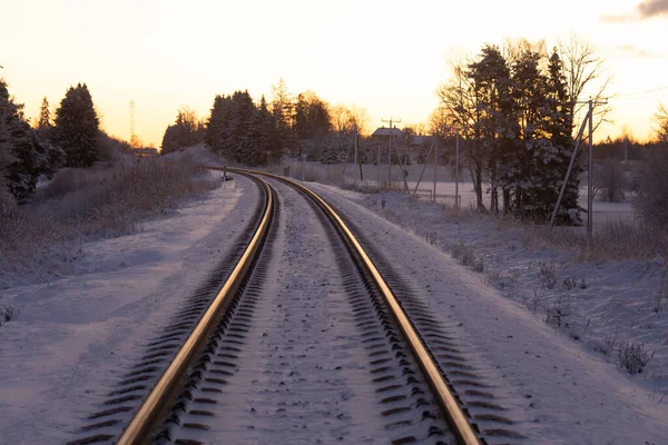 Ormandaki demiryolu raylarının güzel bir kış sabahı manzarası. Kuzey Avrupa 'nın renkli gündoğumu manzarası.