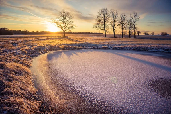 Прекрасный Замерзший Пруд Сельской Местности Утренний Золотой Час Зимний Пейзаж — стоковое фото