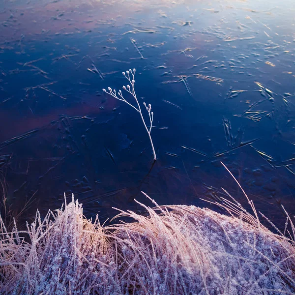 Uma Bela Lagoa Congelada Cena Rural Durante Hora Ouro Manhã — Fotografia de Stock