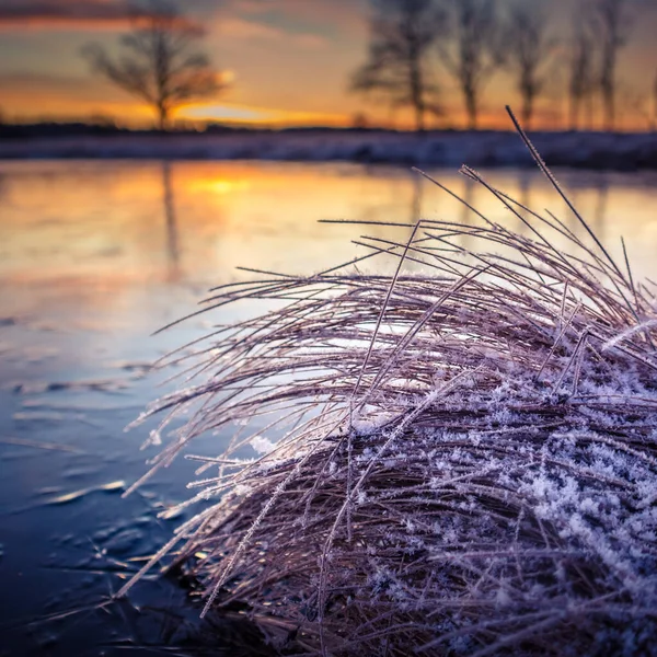 Beautiful Frozen Pond Rural Scene Morning Golden Hour Winter Scenery — Stock Photo, Image