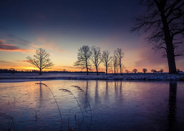 Beautiful Frozen Pond Rural Scene Morning Golden Hour Winter Scenery — Stock Photo, Image