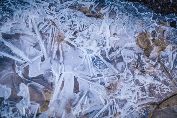 水面上冰冻冰层的漂亮特写 自然的冬季纹理 小冻坑 — 图库照片