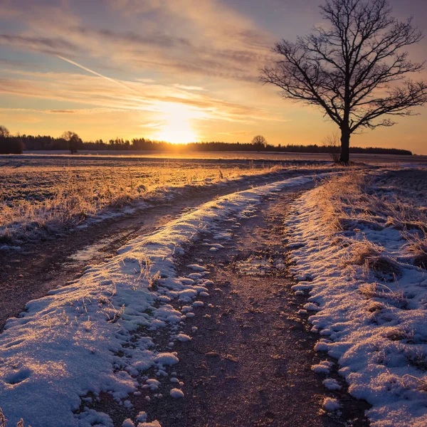 Прекрасный Зимний Утренний Пейзаж Гравийной Дорогой Яркий Необычайно Красочный Пейзаж — стоковое фото