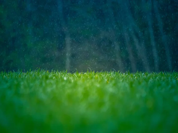Natte Gras Het Voorjaar Landelijk Landschap Van Een Groen Veld — Stockfoto