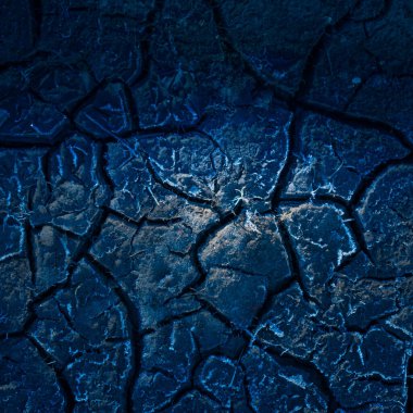 Kırsal bölgelerde büyüyen bitkilerin güzel bir ilkbahar yakınlaşması. Kuzey Avrupa 'nın bahar manzarası.