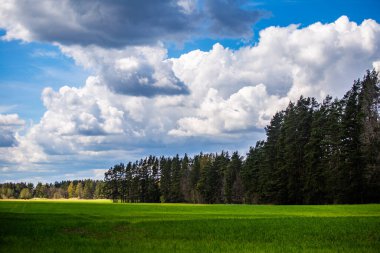 Bulutlu gökyüzü ile güzel bir bahar manzarası. Kuzey Avrupa 'da bahar boyunca bulutlarla güneşli bir gün. Doğal kırsal alan.