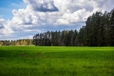 Bulutlu gökyüzü ile güzel bir bahar manzarası. Kuzey Avrupa 'da bahar boyunca bulutlarla güneşli bir gün. Doğal kırsal alan.