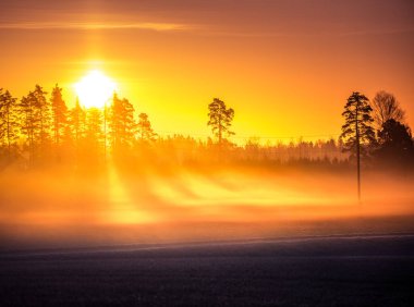 Baharda güzel, sisli bir sabah. Sisin içinde güneş parlıyordu. İlkbahar manzarasında yumuşak, sıcak ve dağınık bir ışık. Kuzey Avrupa kırsal manzarası.