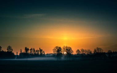 Sisin içinden yükselen güneşin olduğu güzel bir bahar manzarası. Güneşin sisli kırsal alanda parlaması. Kuzey Avrupa 'nın gün doğumuyla birlikte bahar manzarası.