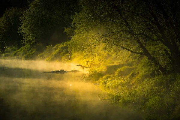A beautiful river morning with mist and sun light. Springtime scenery of river banks in Northern Europe. Warm, colorful look.