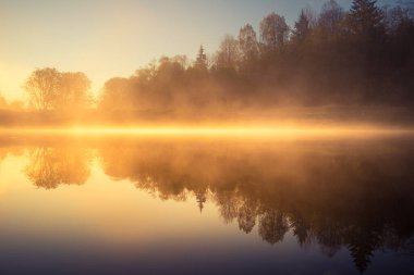 Sis ve güneş ışığıyla güzel bir nehir sabahı. Kuzey Avrupa 'daki nehir kıyılarının bahar manzarası. Sıcak, renkli görünüş.