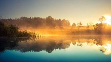 Sis ve güneş ışığıyla güzel bir nehir sabahı. Kuzey Avrupa 'daki nehir kıyılarının bahar manzarası. Sıcak, renkli görünüş.