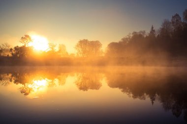 Sis ve güneş ışığıyla güzel bir nehir sabahı. Kuzey Avrupa 'daki nehir kıyılarının bahar manzarası. Sıcak, renkli görünüş.
