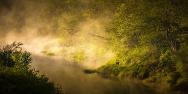 Sabah sisi olan güzel bir nehir vadisi manzarası. Ormanda akan bir nehrin bahar manzarası. Su güneş ışınlarıyla buharlaşıyor. Kuzey Avrupa 'nın bahar manzarası.