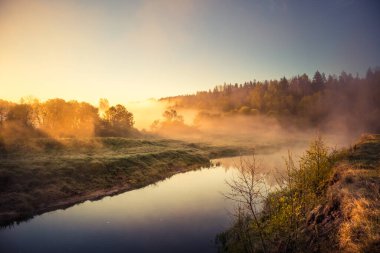 Sabah sisi olan güzel bir nehir vadisi manzarası. Ormanda akan bir nehrin bahar manzarası. Su güneş ışınlarıyla buharlaşıyor. Kuzey Avrupa 'nın bahar manzarası.