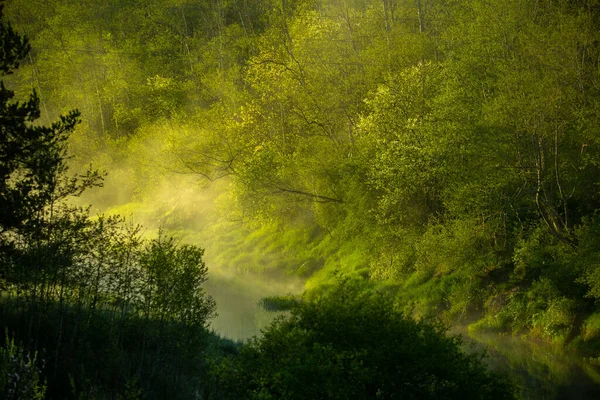 A beautiful spring landscape of a river valley with morning mist. Springtime scenery of a river flowing through the forest. Water evaporating in sun rays. Springtime scenery of Northern Europe.