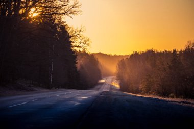 Güneşin doğuşunda sisli bir sabahta kır yolu olan güzel bir manzara. Baharda bir yolun sabah manzarası. Kuzey Avrupa.
