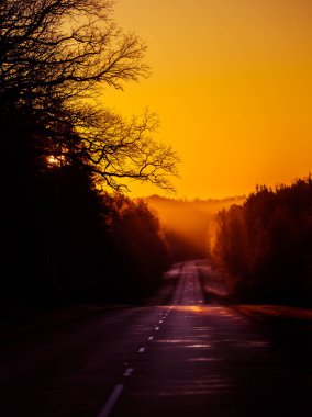 Güneşin doğuşunda sisli bir sabahta kır yolu olan güzel bir manzara. Baharda bir yolun sabah manzarası. Kuzey Avrupa.