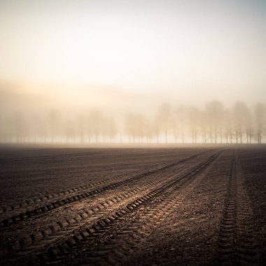 Kuzey Avrupa 'nın kırsal kesiminde güzel, sisli bir bahar gündoğumu. Yumuşak, yayılmış ışıkla bahar manzarası.