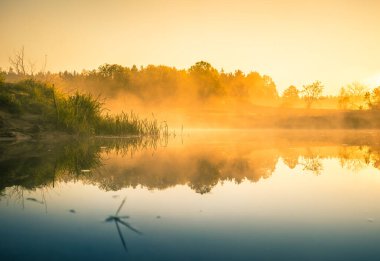 Sis ve güneş ışığıyla güzel bir nehir sabahı. Kuzey Avrupa 'daki nehir kıyılarının bahar manzarası. Sıcak, renkli görünüş.