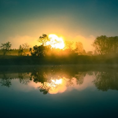 Sis ve güneş ışığıyla güzel bir nehir sabahı. Kuzey Avrupa 'daki nehir kıyılarının bahar manzarası. Sıcak, renkli görünüş.