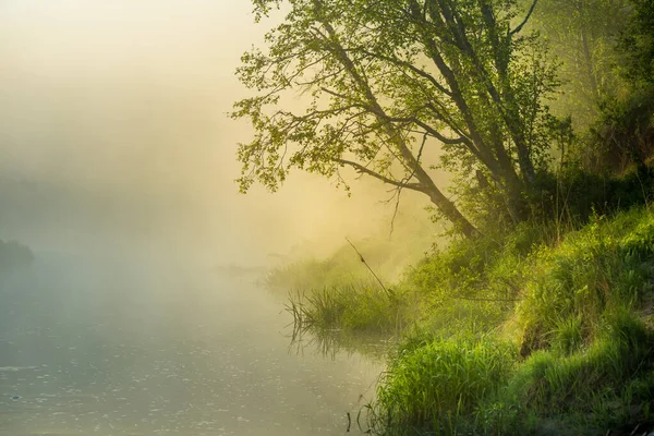 Beautiful Morning Scenery Mist Rising River Summer Landscape Sunrise Northern — Stock Photo, Image