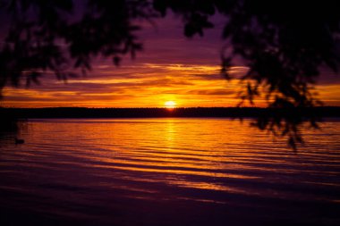 Gölde gün batımı manzarası ve ağaç dalları. Kuzey Avrupa 'daki Lakeside akşam manzarası.
